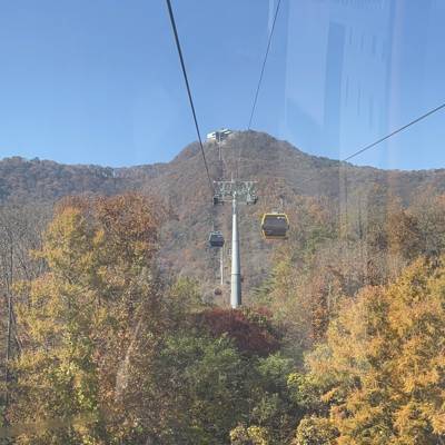 Photo review number 18022 from eloo****@*********