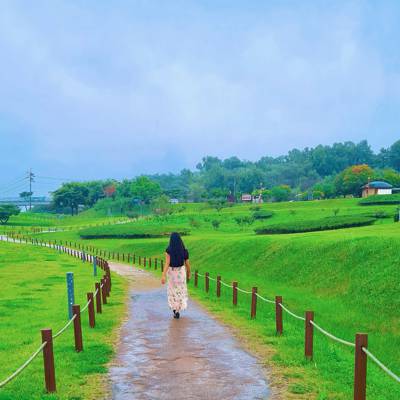 Photo review number 6210 from Zeba A