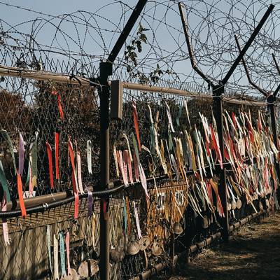 Photo review number 9165 from Antje H