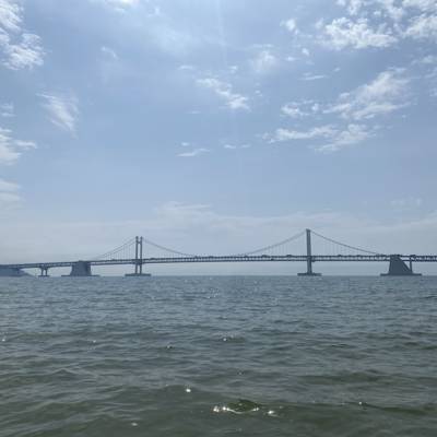 Photo review number 11390 from haida s