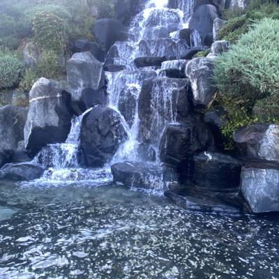 Photo review number 17830 from Adrian O