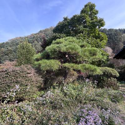 Photo review number 17884 from esth************@*********