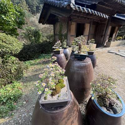 Photo review number 17885 from esth************@*********