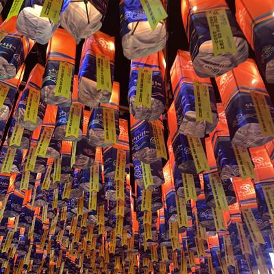 Photo review number 17834 from Adrian O