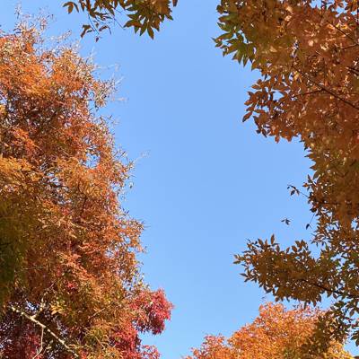 Photo review number 9167 from Antje H