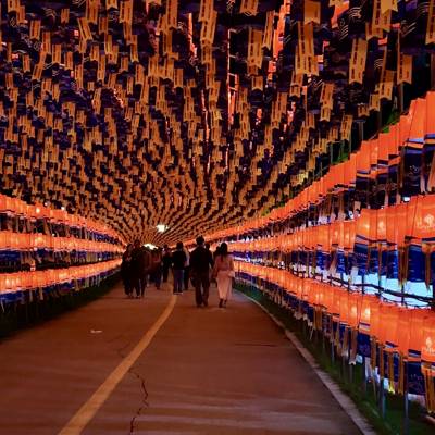 Photo review number 17869 from nxts********@*********