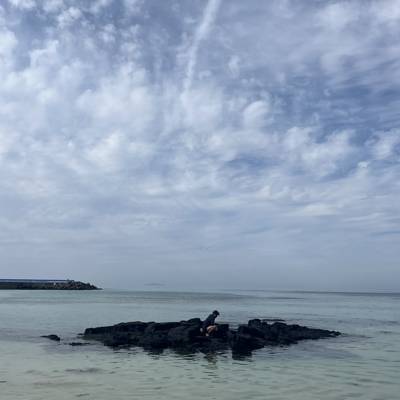Photo review number 16402 from Dafna F