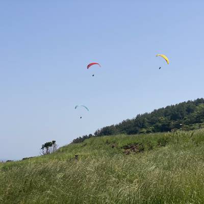 Photo review number 11361 from Maisey C