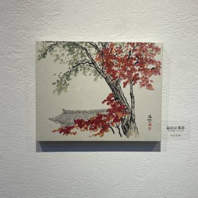 Photo review number 15861 from Pauka S