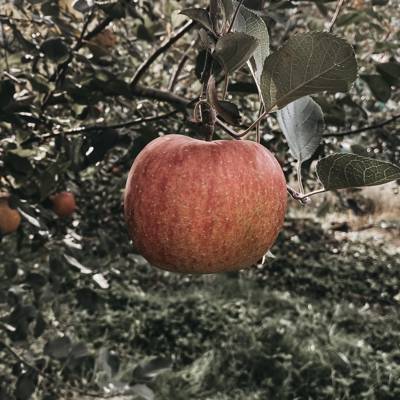 Photo review number 9176 from Antje H