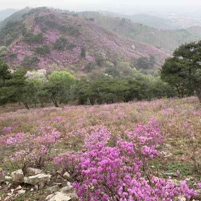 Photo review number 11136 from Liew P