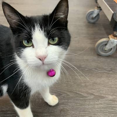 Photo review number 11138 from Liew P