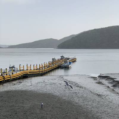 Photo review number 11143 from Liew P