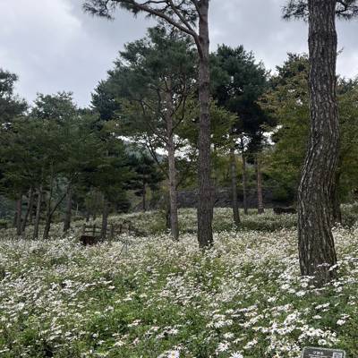 Photo review number 17781 from nurh***********@*********