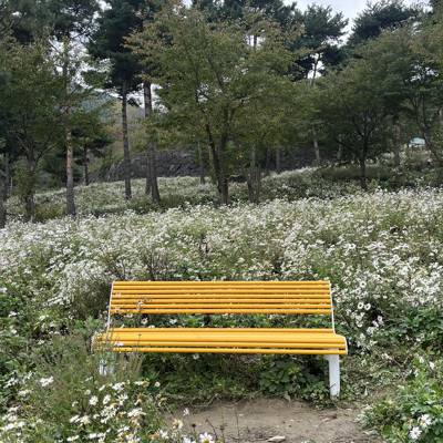 Photo review number 17782 from nurh***********@*********