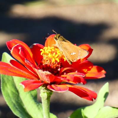 Photo review number 17821 from Salhyndja Emmanuelle S