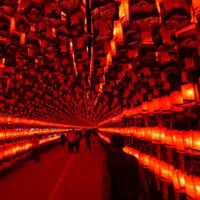 Photo review number 17826 from Salhyndja Emmanuelle S