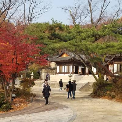 Photo review number 6876 from bria****@*********