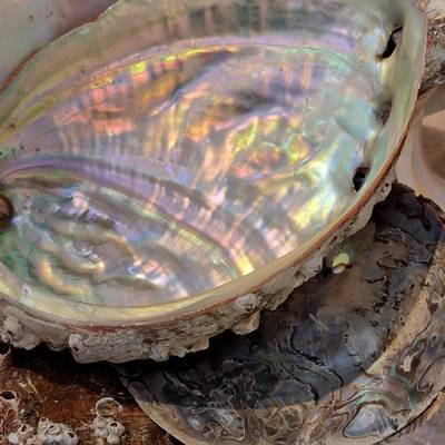 Photo review number 13135 from Marina K