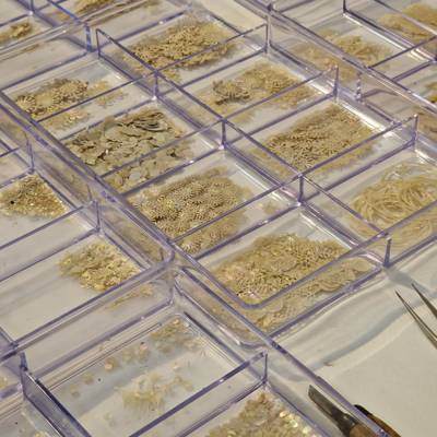 Photo review number 13136 from Marina K