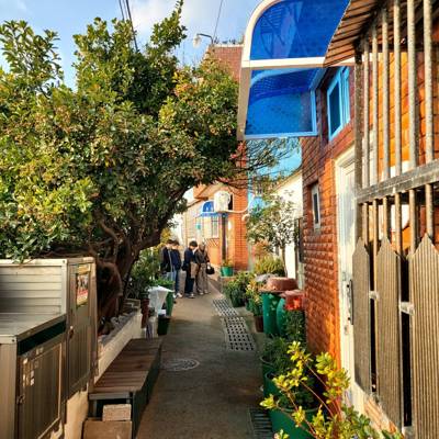 Photo review number 18090 from Gilson F