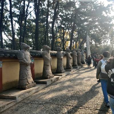 Photo review number 18093 from Gilson F