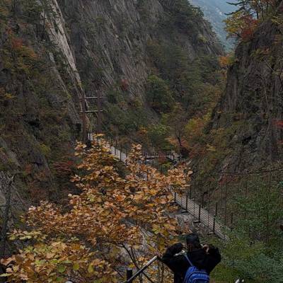 Photo review number 17857 from cont***@***********************