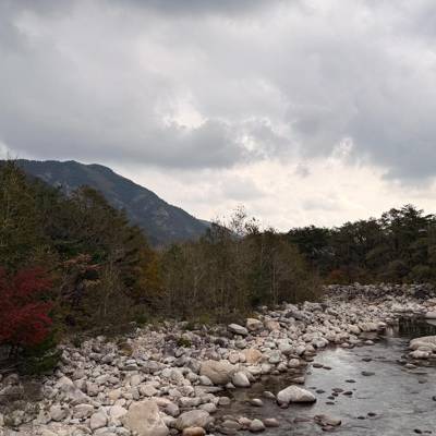 Photo review number 17856 from cont***@***********************