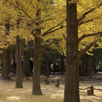 Photo review number 9173 from Antje H