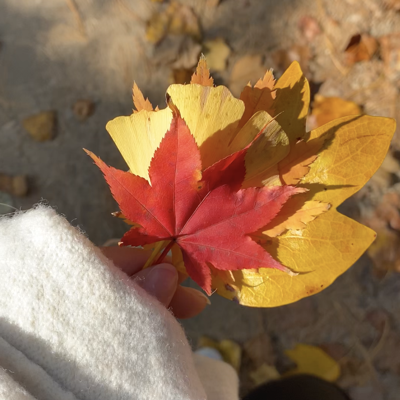 Photo review number 9171 from Antje H