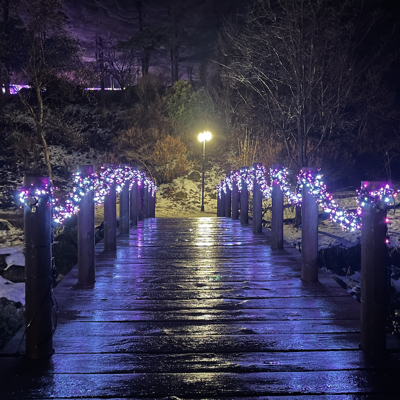 Photo review number 10523 from Kristina B