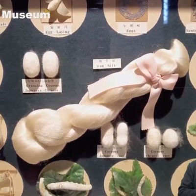 Photo review number 6650 from Alana J