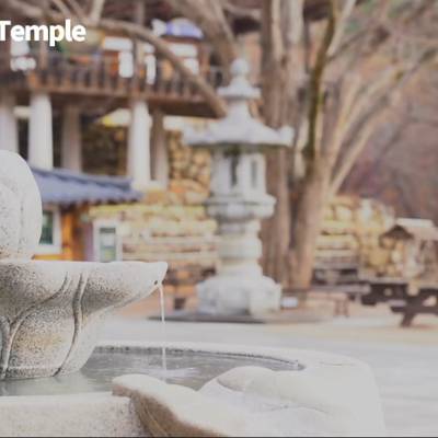 Photo review number 5292 from Lily S