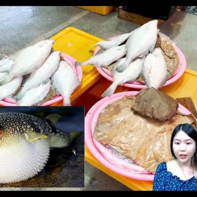 Photo review number 6188 from Zoe R