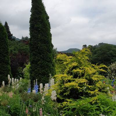 Photo review number 11669 from K S