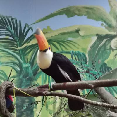 Photo review number 6906 from Anja P