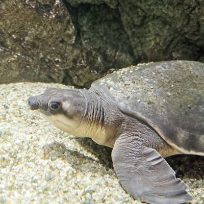 Photo review number 6907 from Anja P