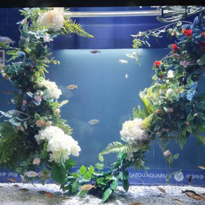 Photo review number 6908 from Anja P