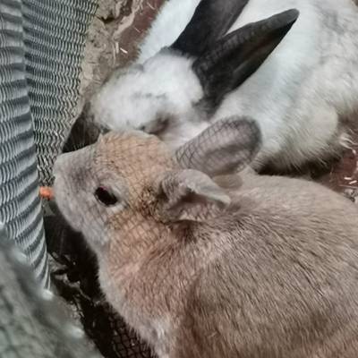 Photo review number 6909 from Anja P