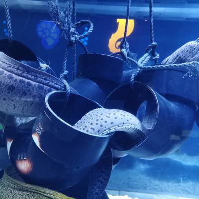 Photo review number 6910 from Anja P