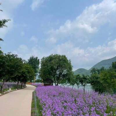 Photo review number 11427 from cant*******@*********