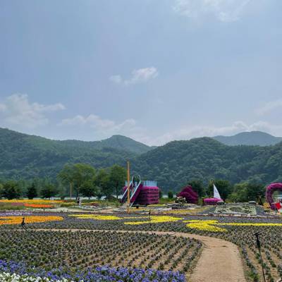 Photo review number 11429 from cant*******@*********