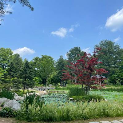 Photo review number 11430 from cant*******@*********