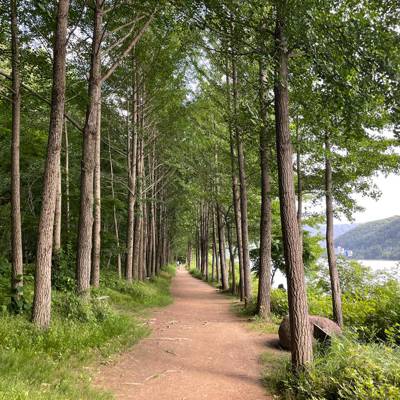 Photo review number 11431 from cant*******@*********