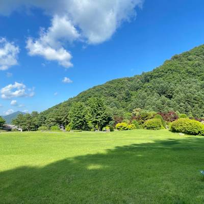 Photo review number 11665 from Nguyen H