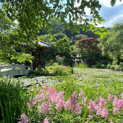 Photo review number 11666 from Nguyen H