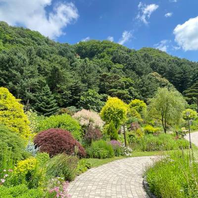 Photo review number 11667 from Nguyen H