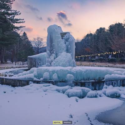 Photo review number 13479 from ADITYA S