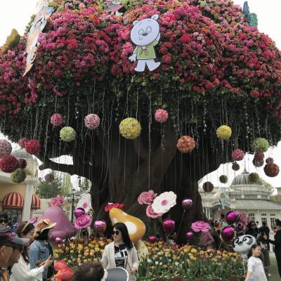 Photo review number 2075 from Yeong Yeap T