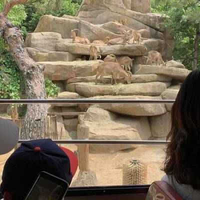 Photo review number 2567 from Ronia  A